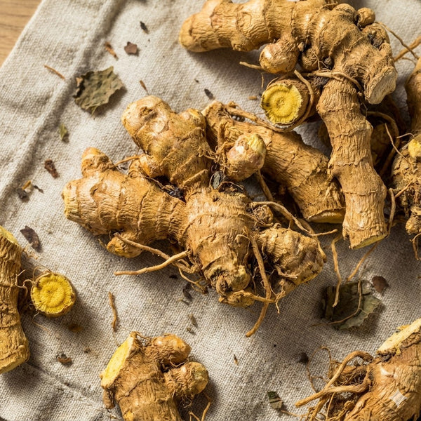 Pawly -Yeast Infection Relief For Dogs