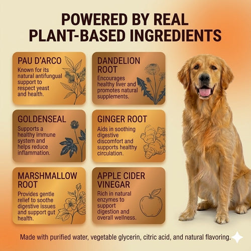 Pawly - Natural Yeast Relief